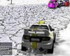 3D-Rally-Racing